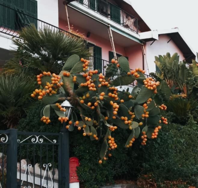 Giardino Miramare Citra Zero Zero Ottanta Trentuno Lt 0737 Apartment Imperia Exterior photo